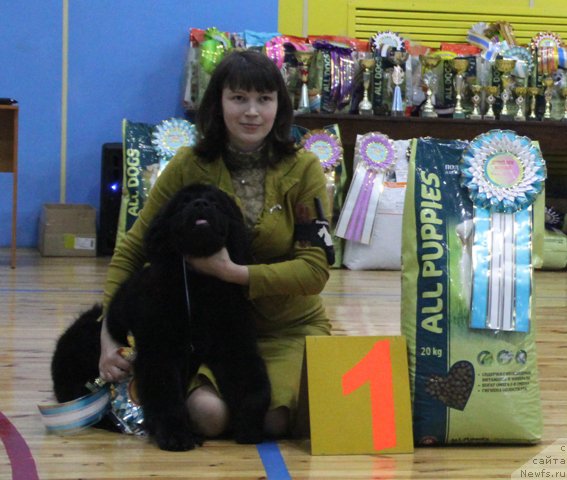 Фотография № 201954