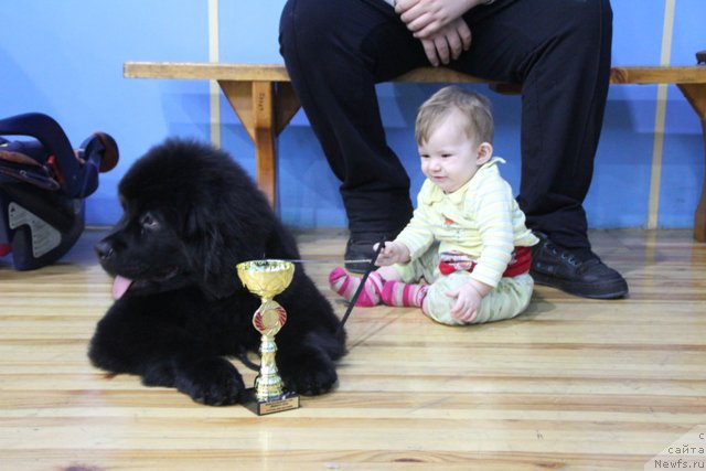 Фотография № 201955