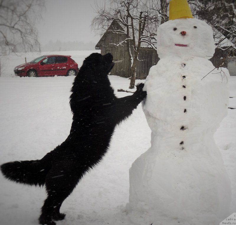 Фотография № 201988