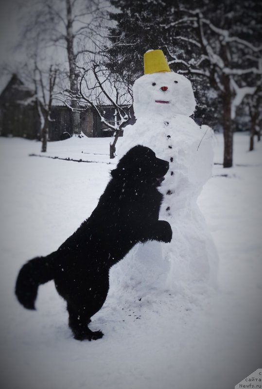 Фотография № 201989