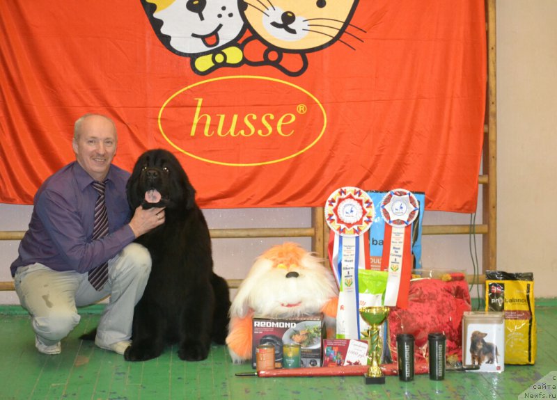 Фотография № 201990