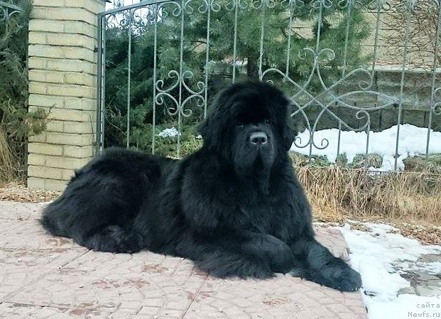 Фотография № 202012