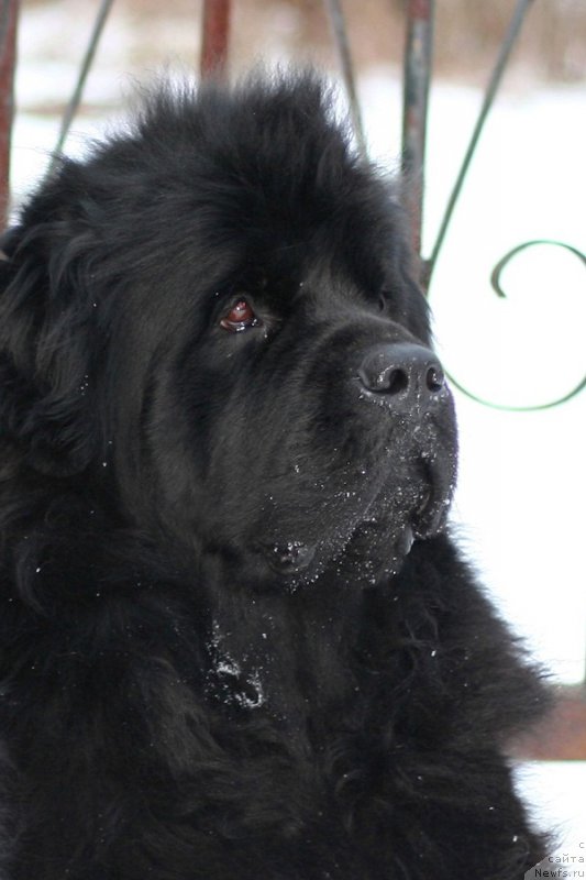 Фотография № 202014