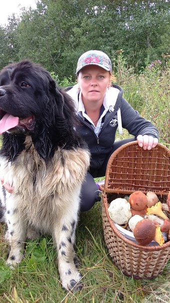 Фотография № 202030