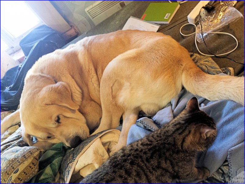 Фото: Лена Зырина