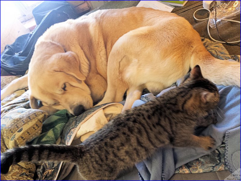 Фото: Лена Зырина