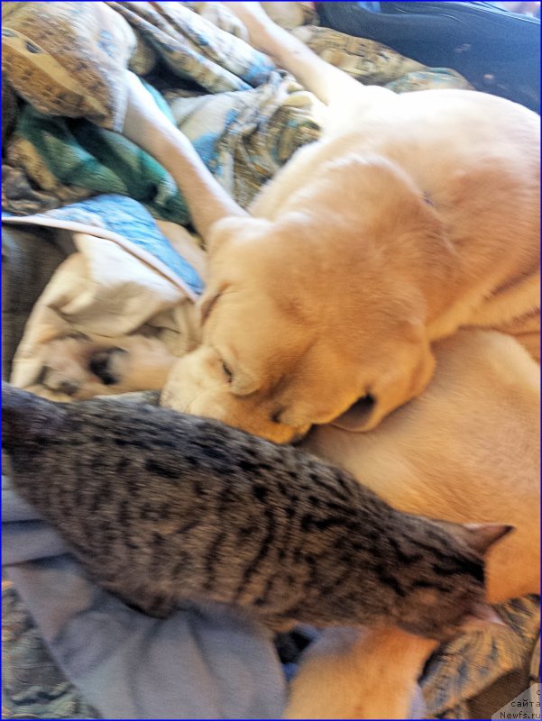 Фото: Лена Зырина