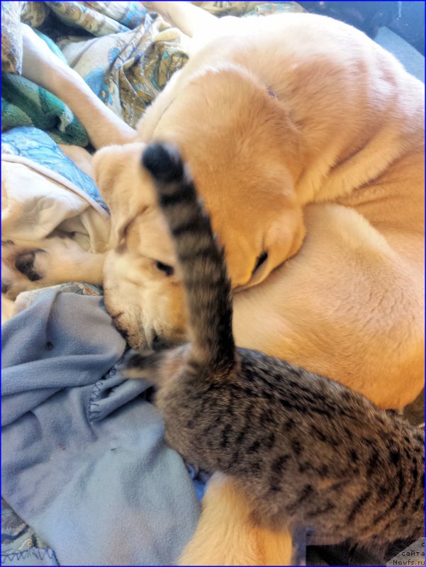 Фотография № 202046