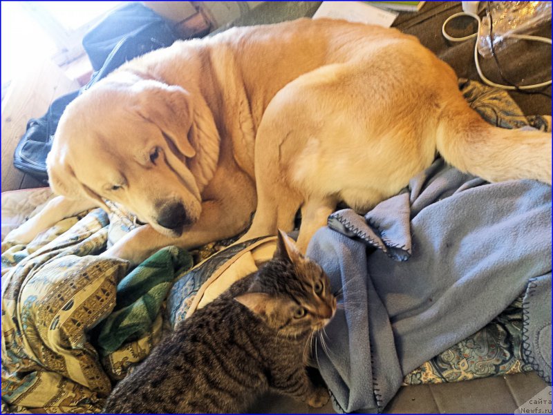 Фотография № 202047