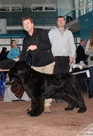 Фото: Виктор Викторович Хрищанович