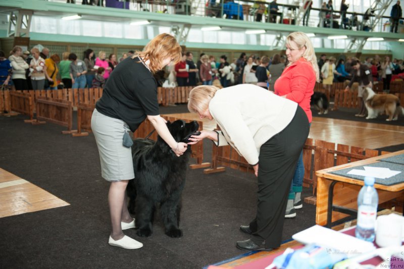 Фотография № 202079