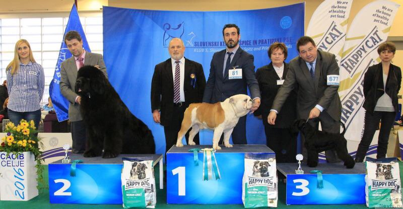 Фотография № 202080