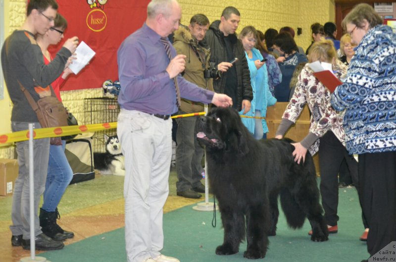 Фотография № 202107