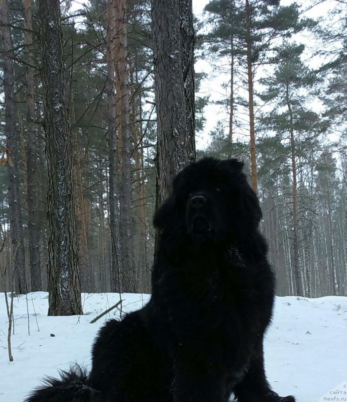 Фотография № 202132