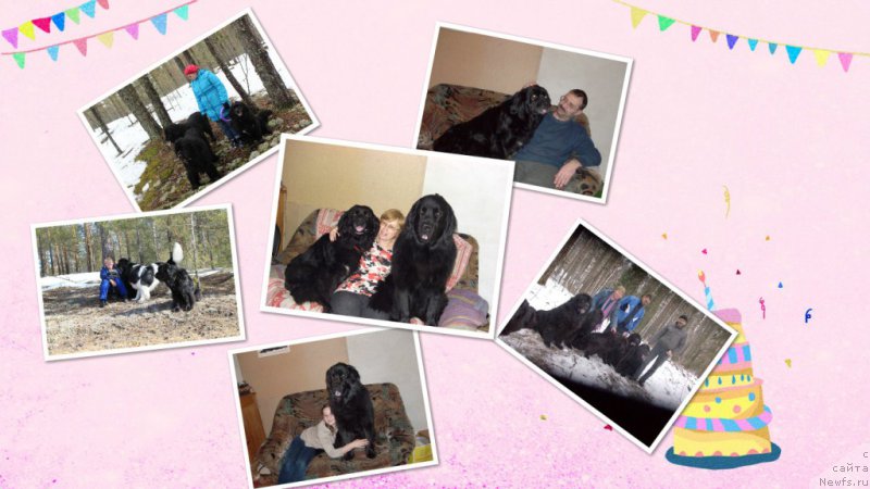 Фотография № 202137