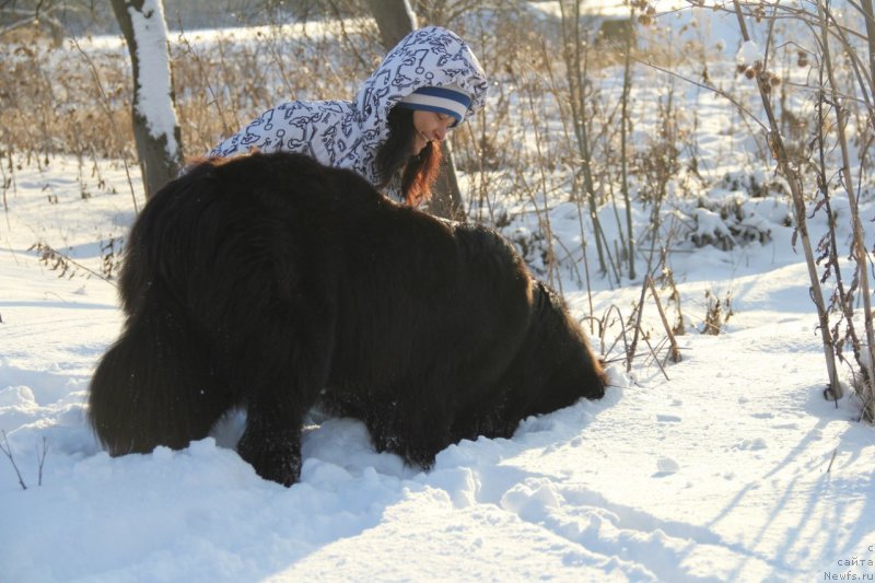 Фотография № 202140