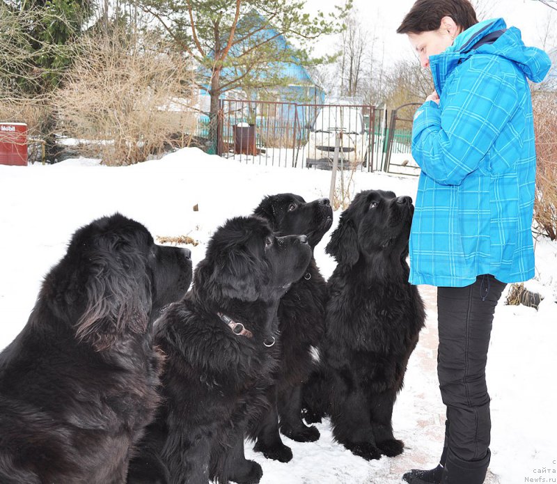 Фотография № 202144