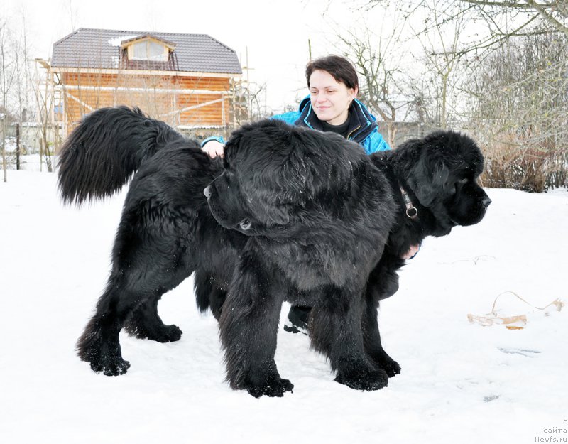 Фотография № 202145