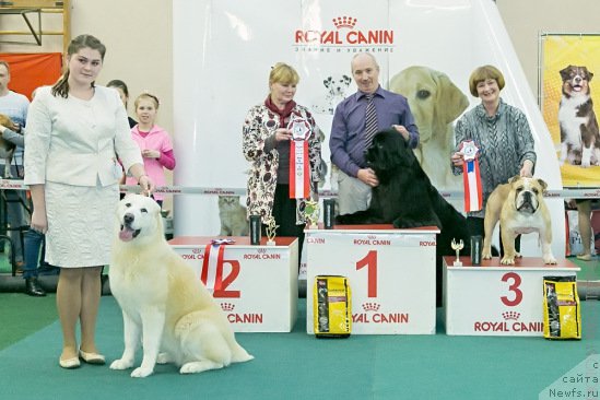 Фотография № 202156