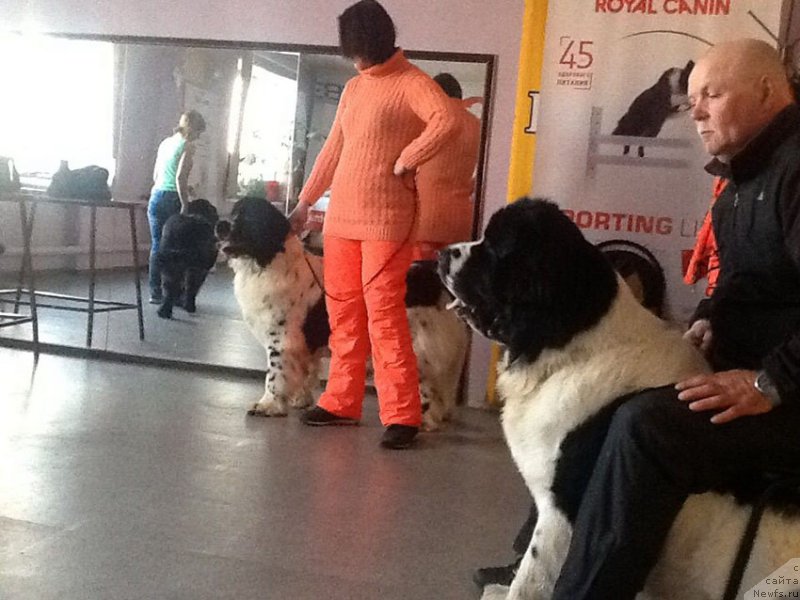 Фотография № 202159