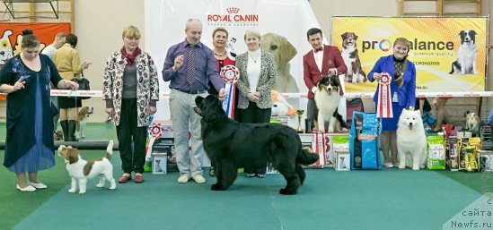 Фотография № 202169