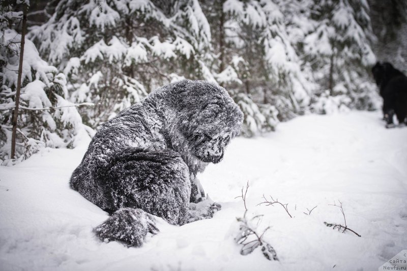 Фотография № 202173