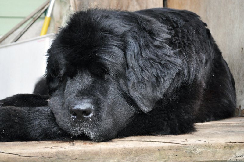 Фотография № 202174