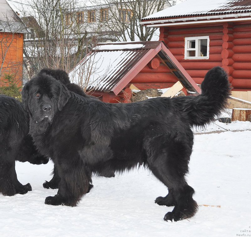 Фотография № 202175