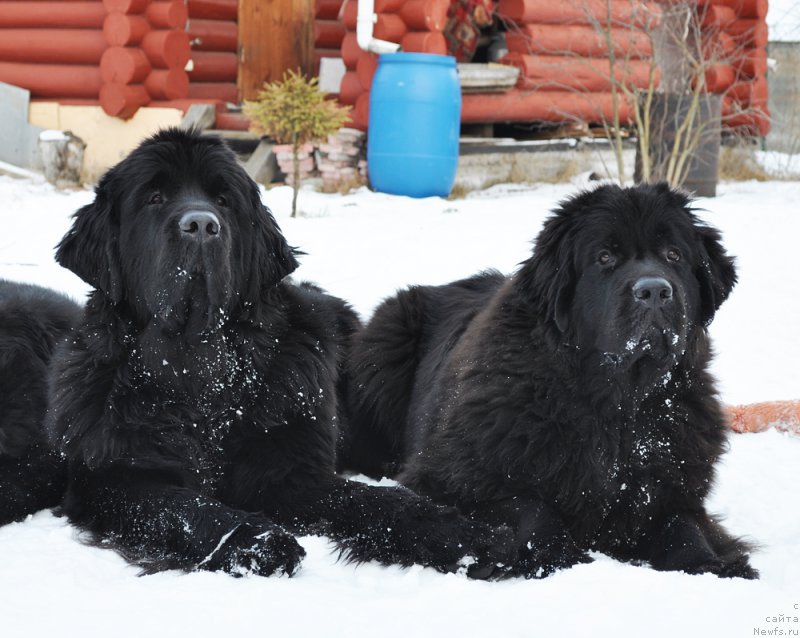 Фотография № 202176