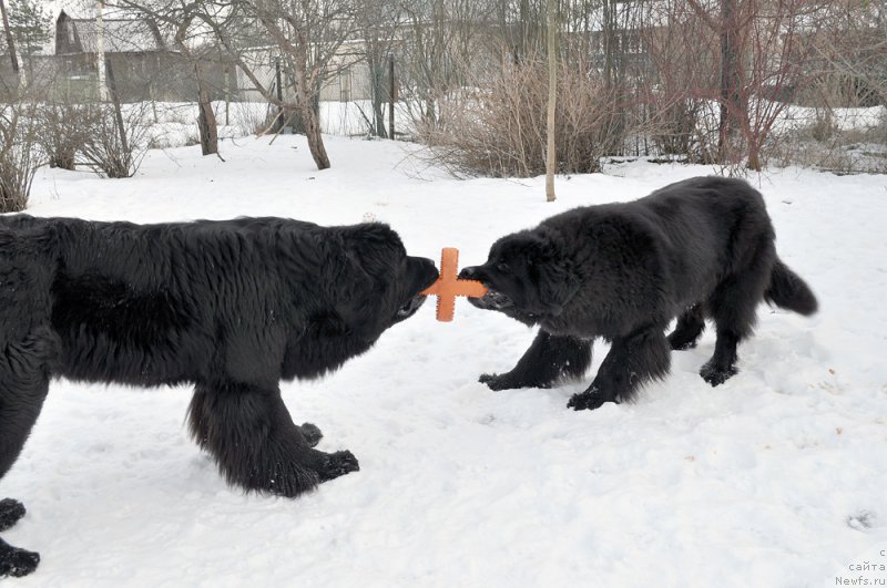 Фотография № 202178