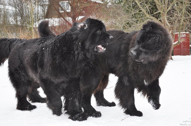 Фотография № 202180