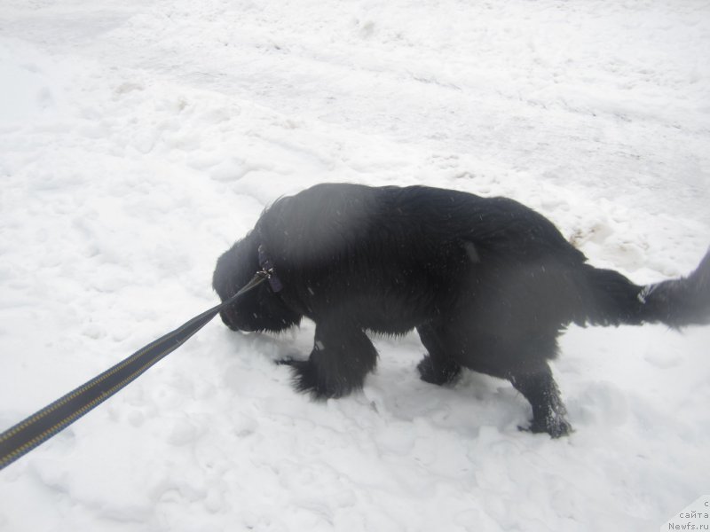 Фото: Наталья Смазчикова