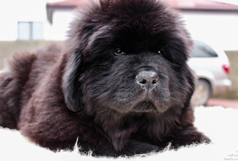 Фото: Виктор Хрищанович