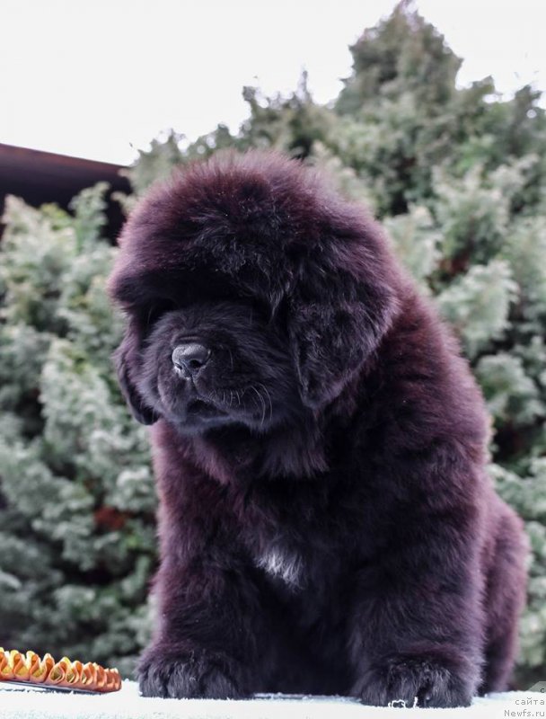 Фото: Виктор Хрищанович