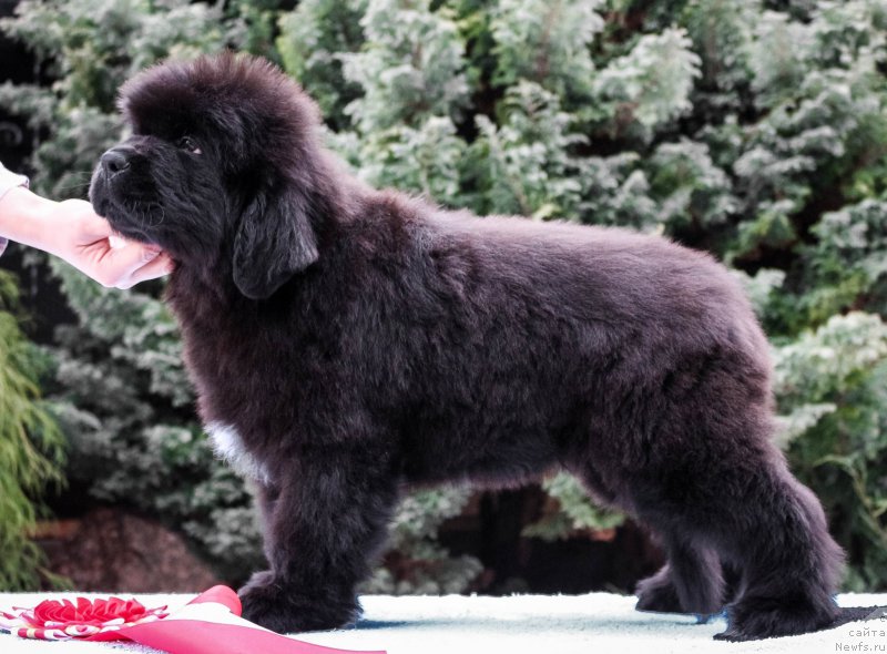 Фото: Виктор Хрищанович