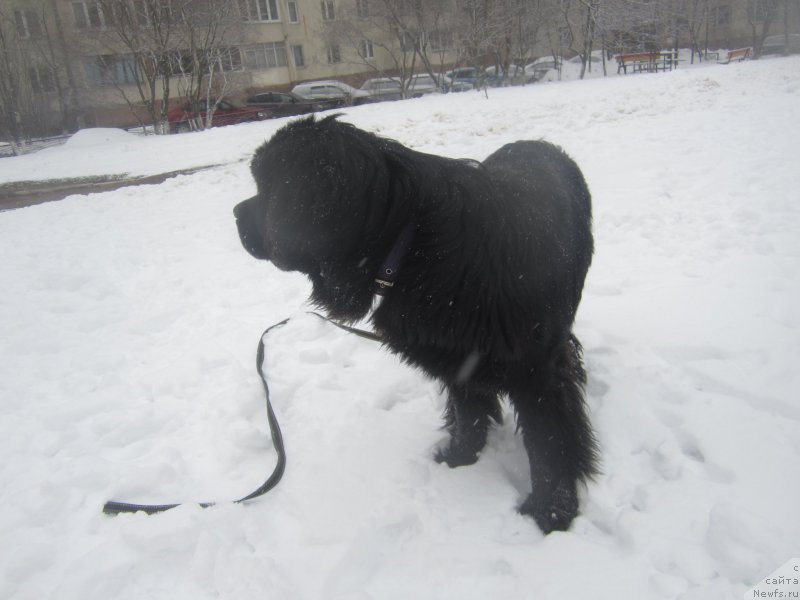 Фото: Наталья Смазчикова