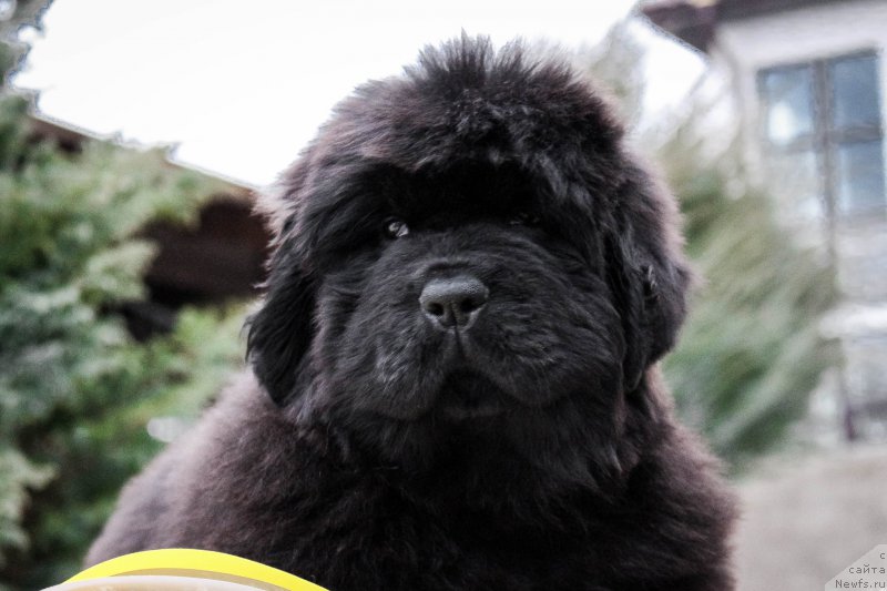 Фото: Виктор Хрищанович