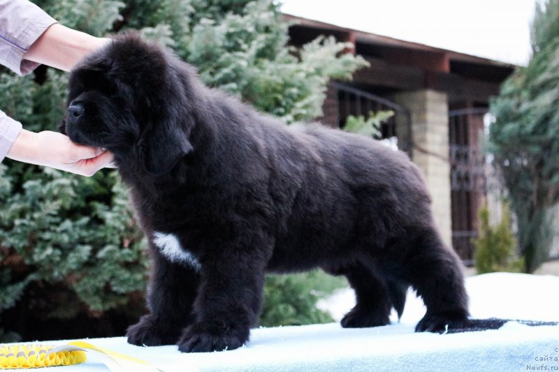 Фото: Виктор Хрищанович