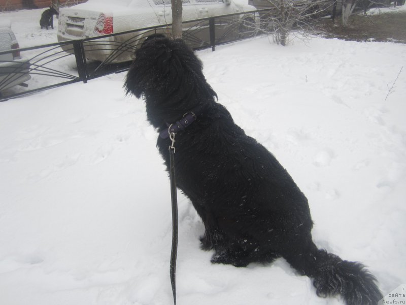 Фото: Наталья Смазчикова