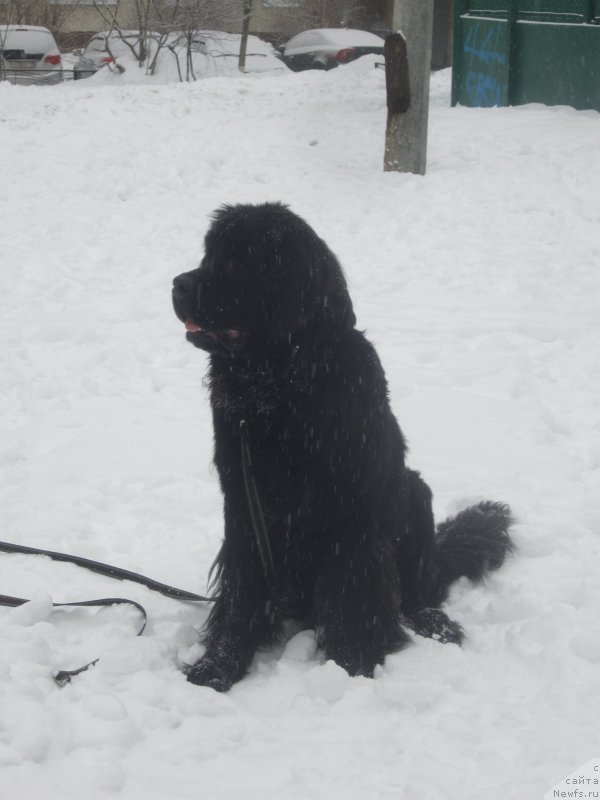 Фото: Наталья Смазчикова