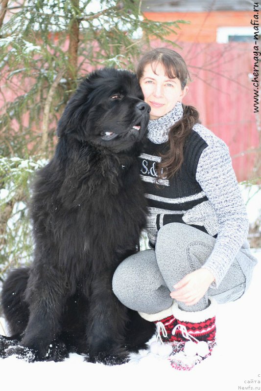 Фотография № 202209