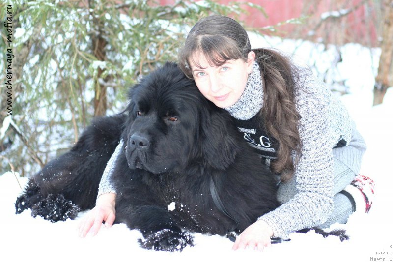 Фотография № 202210