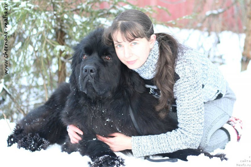 Фотография № 202212