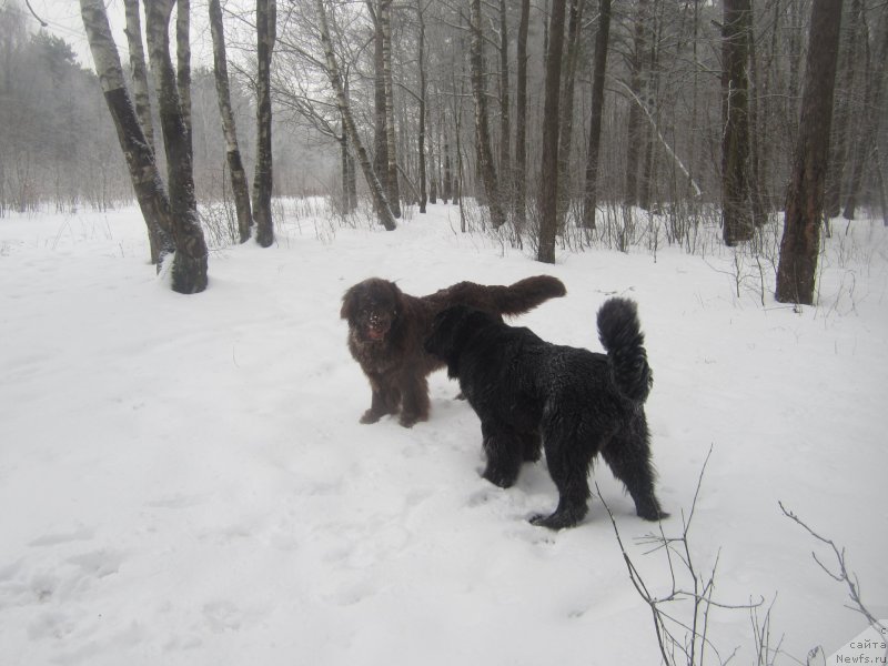 Фото: Наталья Смазчикова