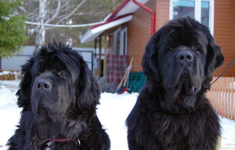 Фотография № 202249