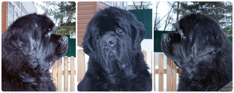 Фотография № 202252