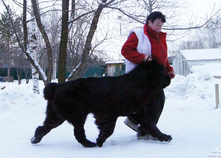 Фотография № 202254