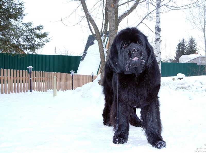 Фотография № 202255