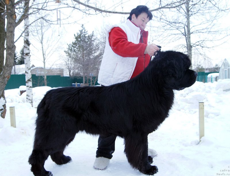 Фотография № 202256