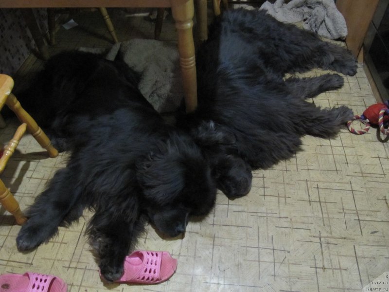 Фотография № 202263